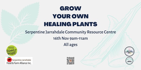 GROW YOUR OWN Healing Plants