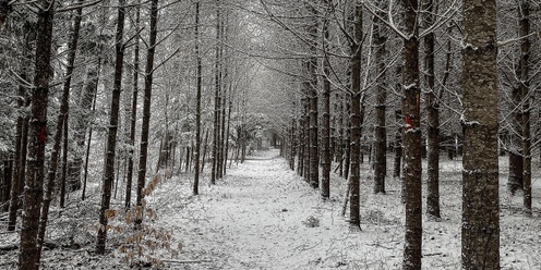 Winter Solstice Stroll at River Bend Farm