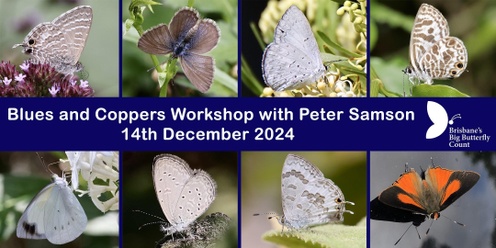 Blues and Coppers Workshop with Peter Samson