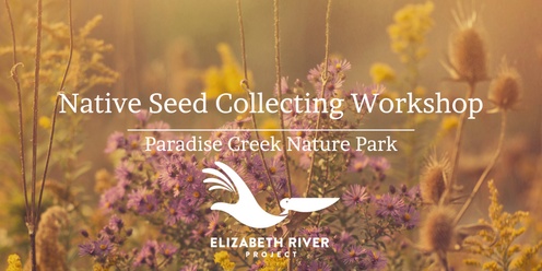 Native Seed Collecting Workshop