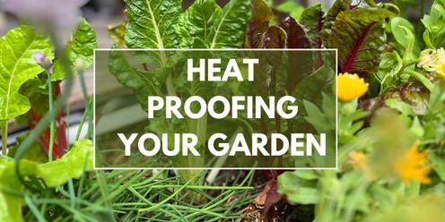 Heat Proofing Your Garden