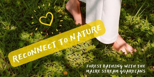 Let's Reconnect to Nature through a Forest Bathing experience