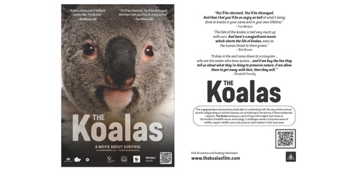 The Koalas screening