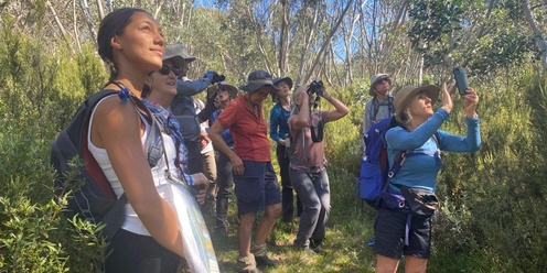 Try Bushwalking Info Evening - Bayside Bushwalking Club