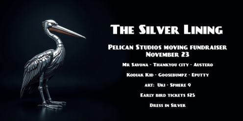 The Silver Lining - Pelican Studios on the move