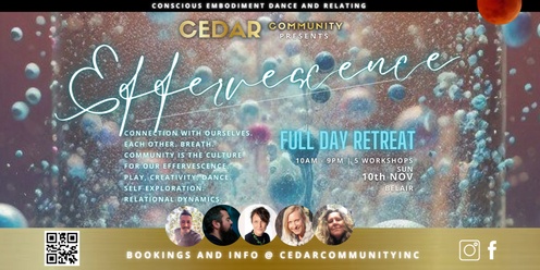 Effervescence Full Day Retreat - 5 Workshops - Belair 10th Nov 2024