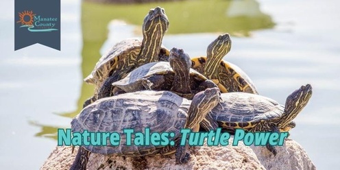 Nature Tales: "Shell"tastic Turtles