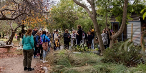 Native Garden Design for Kaurna Country