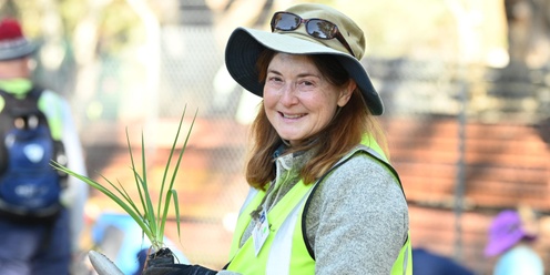 Come & try – Friends of Sturt River Landcare Group