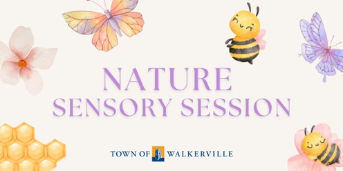 Nature sensory session