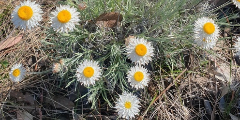 Private Land Conservation Matters Biodiversity Muster