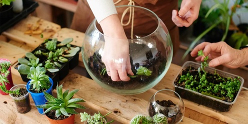 Terrarium Workshop