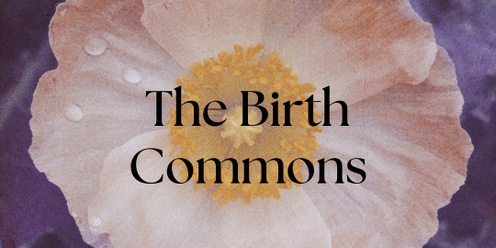 The Birth Commons: November Gathering 