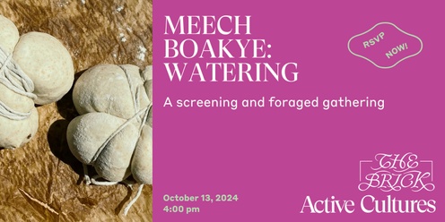 Meech Boakye: watering