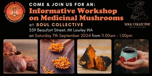 Medicinal Mushrooms Workshop Mt Lawley