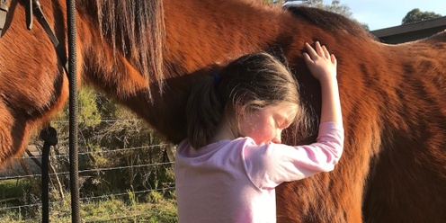 School Holiday Natural Horsemanship Clinics 