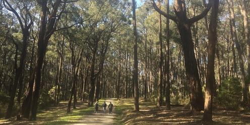 Melbourne Cup Day Walk in the Dandenongs - Grade 3 (medium)