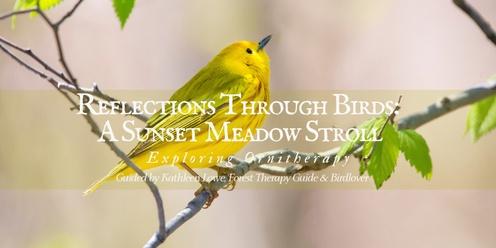 Reflections Through Birds: A Sunset Meadow Stroll