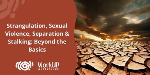 Strangulation, Sexual Violence, Separation & Stalking: Beyond the Basics - Two Days (Mackay)