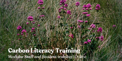 Modular Staff and Student Carbon Literacy Training 1