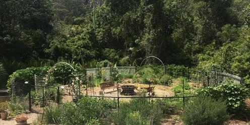 Introduction to Permaculture Design: Mid week: May 2024