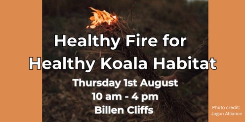 Healthy Fire for Healthy Koala Habitat Field Day