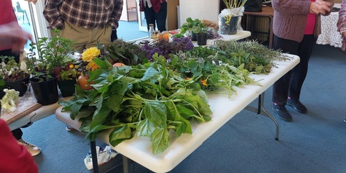 St Albans Produce Swap