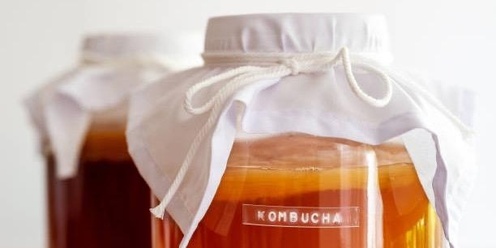 Fermented Drinks - The Food Tool Library