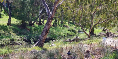 Habitat Survey: Kororoit Creek