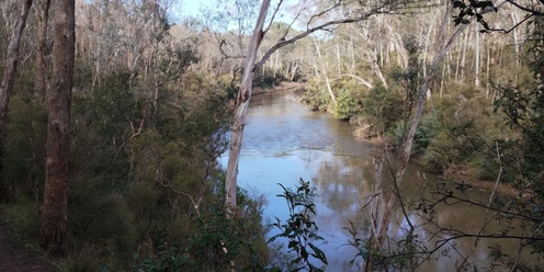 Jumping Creek Walk - Warrandyte - Grade 3 (medium)