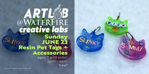 Resin Pet Tags and Accessories