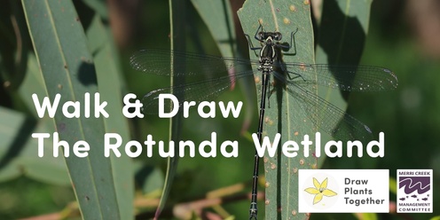 Plant drawing workshop 🌿 The Rotunda Wetland