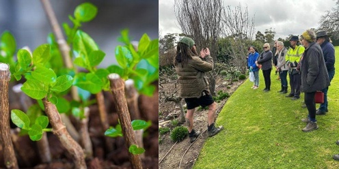 Carrick Hill Plant Propagation Workshop