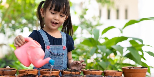 School Holidays - Grow Your Own Gift - Ages: 5-10 @ Casula Library