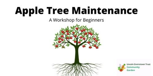 Apple Tree Maintenance Workshop