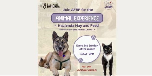 Animal Experience with Hacienda Hay and Feed