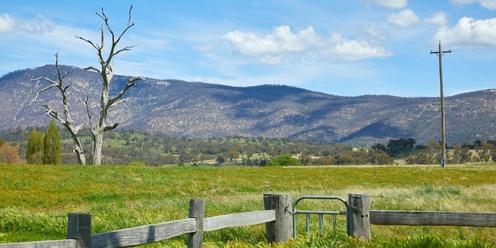 Beyond The Farm Gate - Floriade at Lanyon Homestead 2024