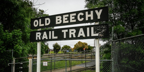 Old Beechy Line Rail Trail/Melba Gully Otways Forest - Grade 2 (Easy)