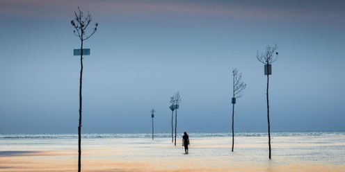 Beaches & Blue Hour