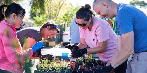 Working in and with community: a skill development workshop for people doing social and ecological work