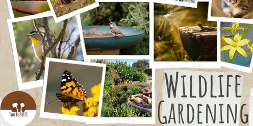 Habitat Heroes: Wildlife Gardening