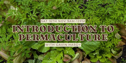 Introduction to Permaculture with Gavin Hardy