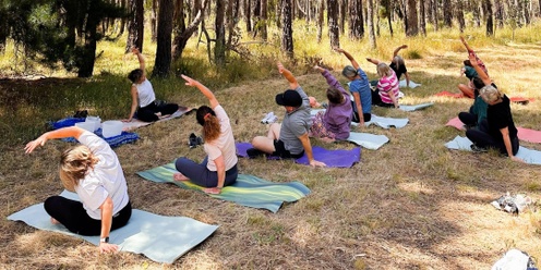 Hike and Yoga in Sturt Gorge