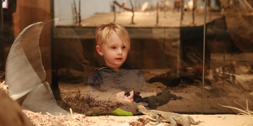Preschool program | Museum in a box | On the shore & beneath the waves