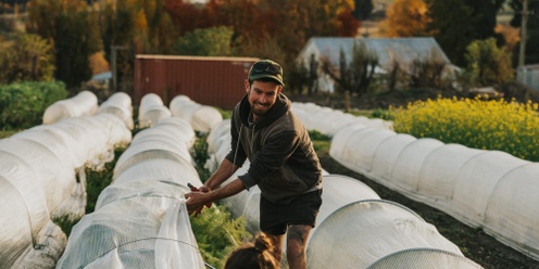 Tools and planning for a resilient and enjoyable vege patch