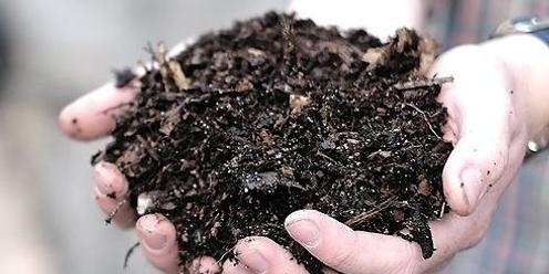 Organic Gardening Basics 2024 - Part 1 of 6: Healthy Soil
