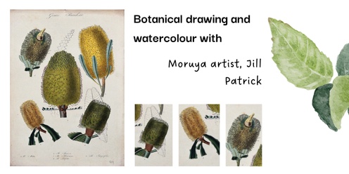 Botanical drawing with watercolour