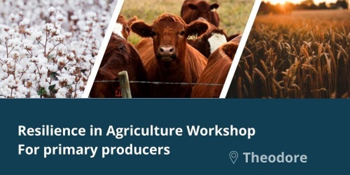 Resilience in Agriculture Workshop - Theodore