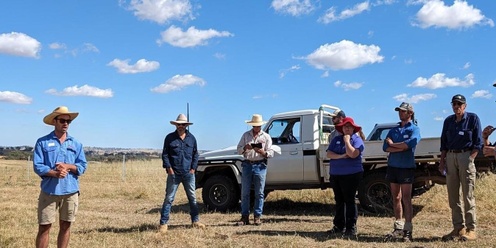 Young District Grazing Group #4