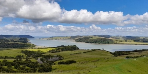 Atiu Creek Trail